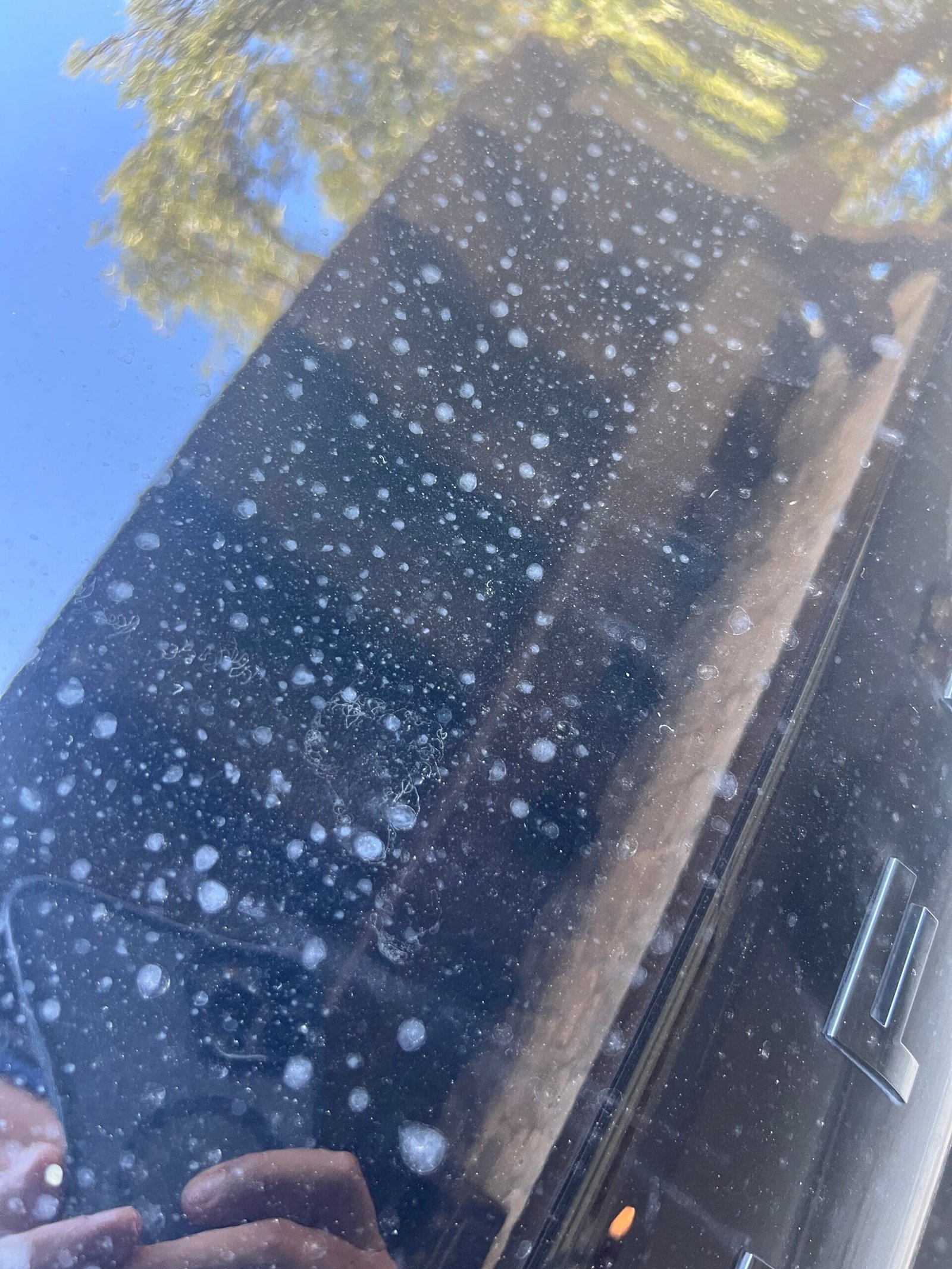 mobile exterior detailing houston hand wash and water spot removal
