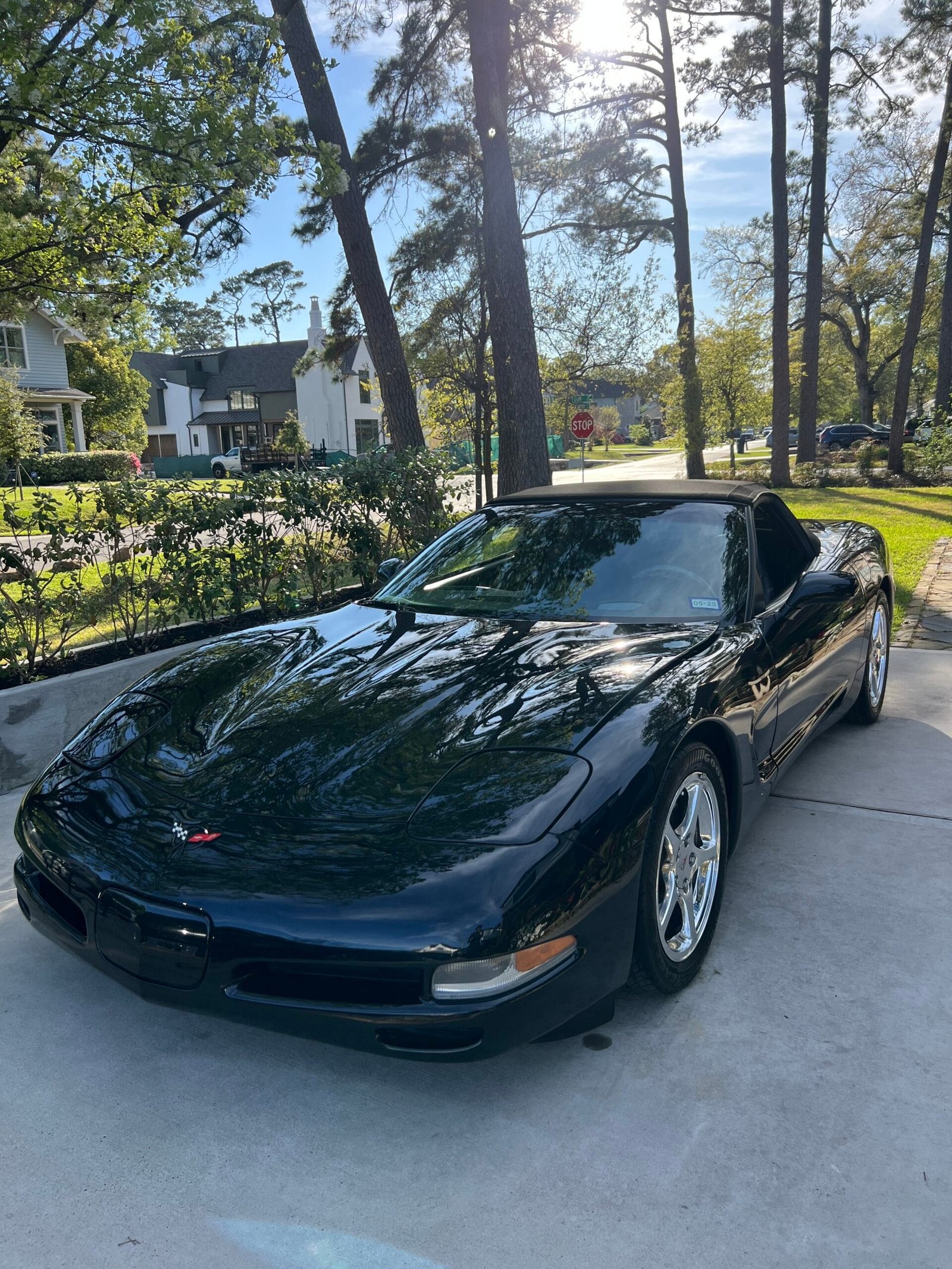 full paint correction and ceramic coated car in river oaks