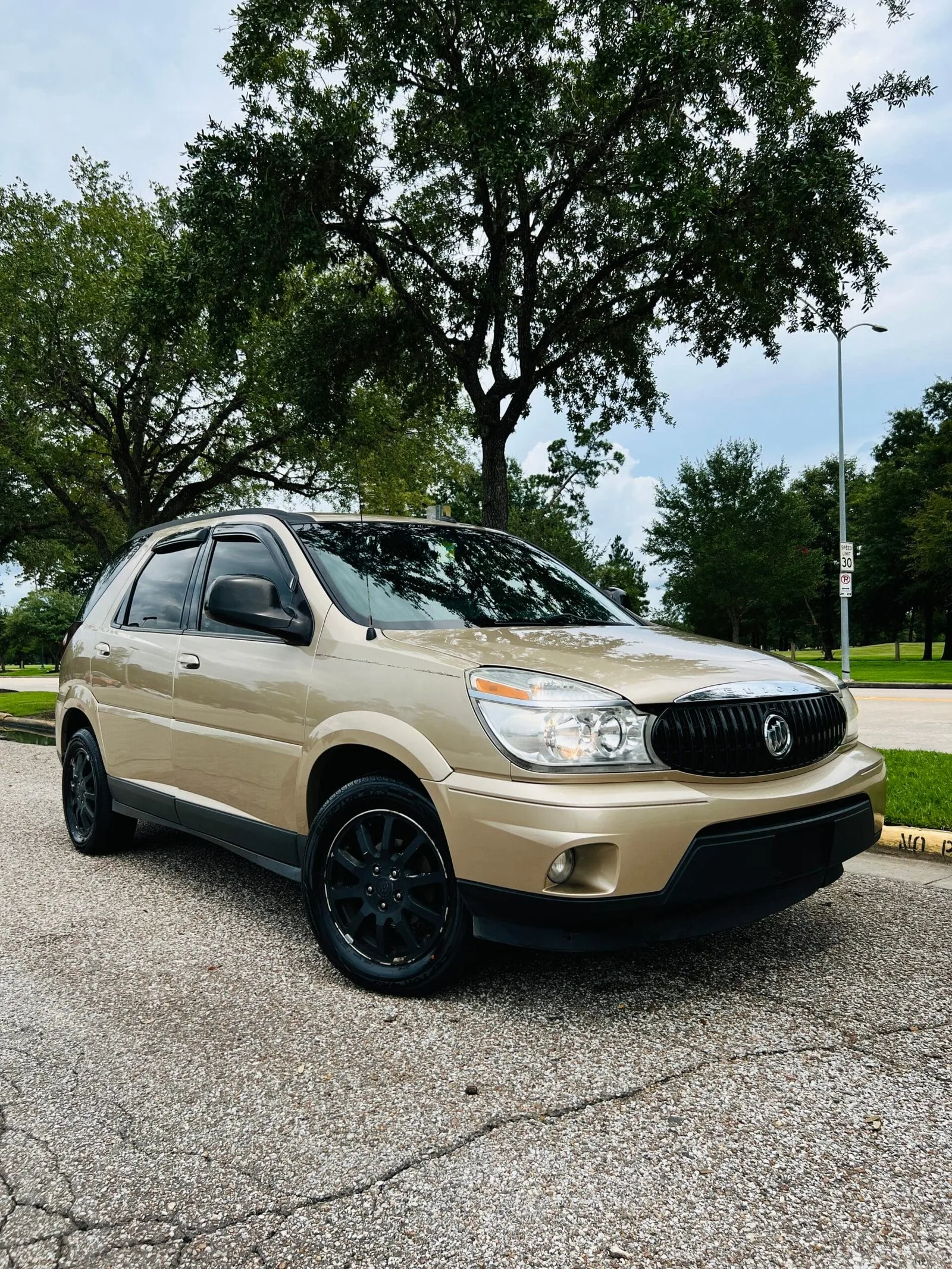 SUV after exterior detailing service in Houston