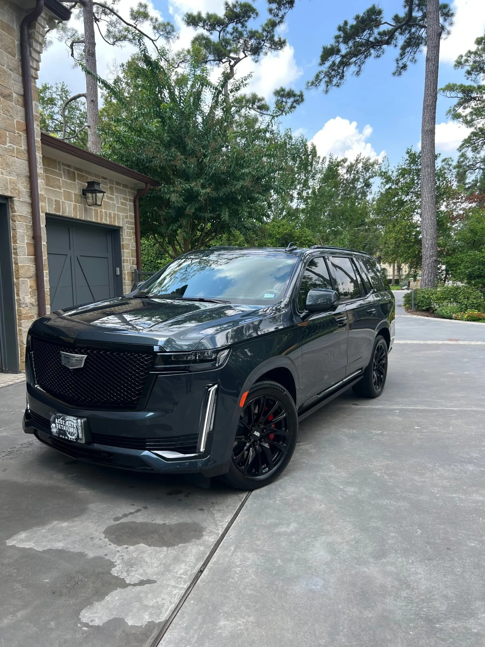 Mobile exterior detailing result with clean paint and wheels