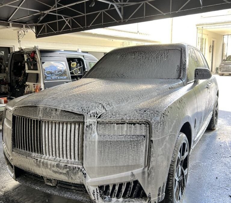 Lovebug Season in Houston: How to Protect Your Paint