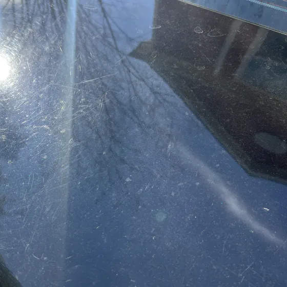 Close-up of dense swirl marks and scratches on black paint in sunlight