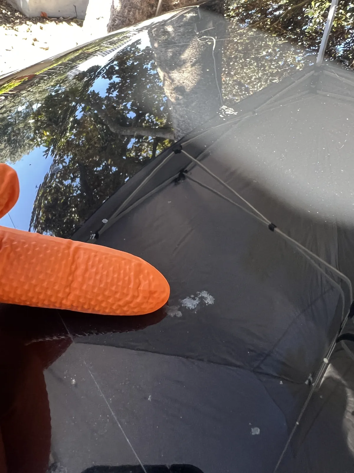 Etched spots remaining on the Toyota RAV4 after washing and decontamination but before paint correction