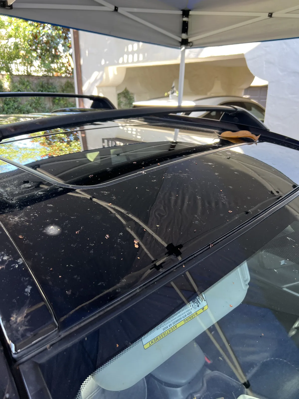 Magnolia honeydew and organic debris across the roof of a black Toyota RAV4 before detailing